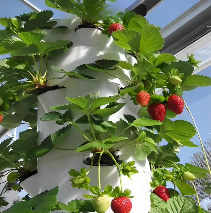 都市農業向けモジュール式水耕栽培壁面航空宇宙システム　新しい - Urban Farming Urban Gardening のレビューと価格