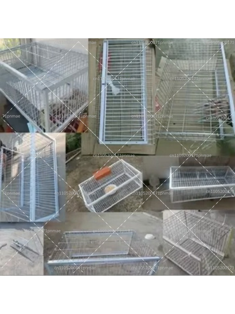 プロ仕様多機能鳥・鳩捕獲ケージ（庭、農場、都市害鳥対策用） - Urban Farming Urban Gardening のレビューと価格